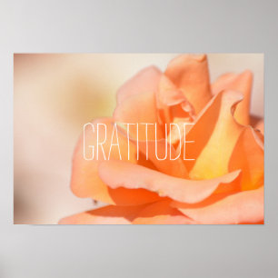 Gratitude Poster