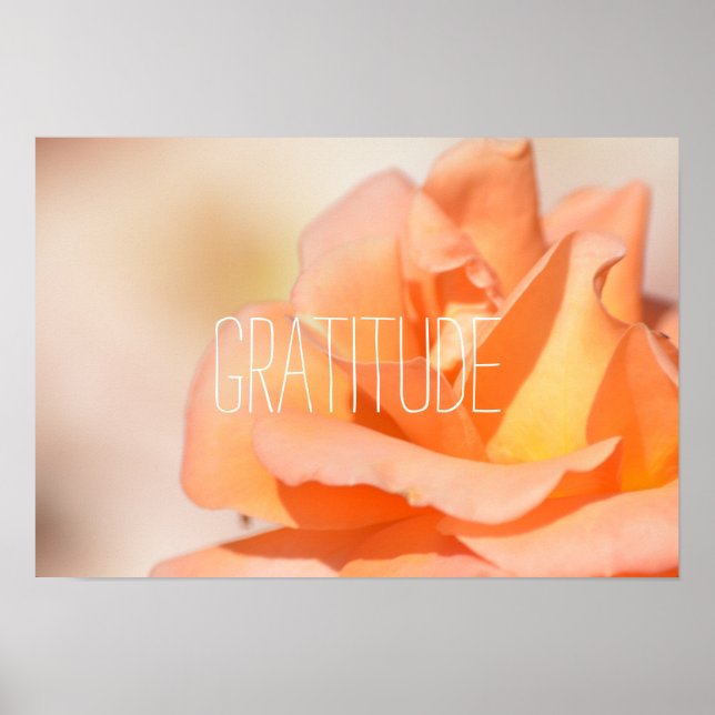 Gratitude Poster (Front)