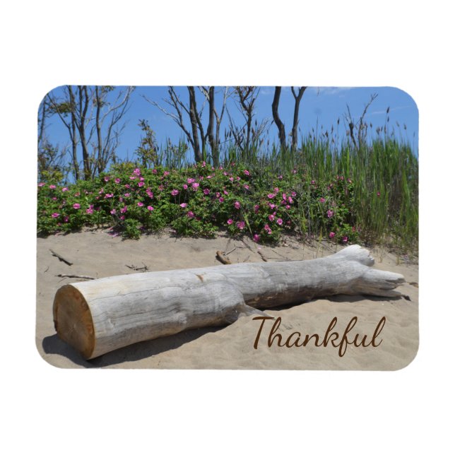 Gratitude Seashore Magnet (Horizontal)