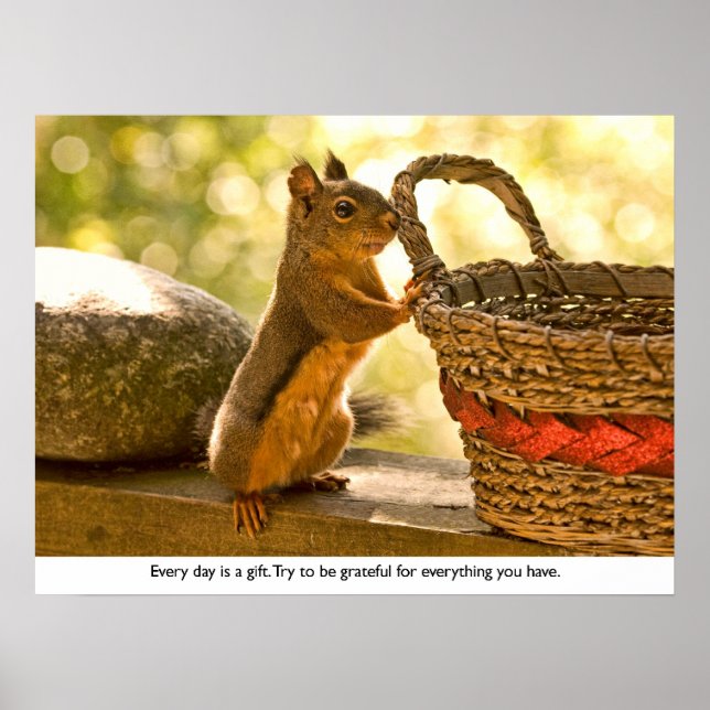 Gratitude Squirrel Poster (Front)