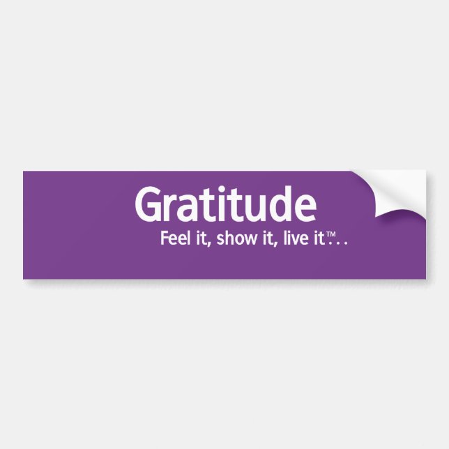 Gratitude - Thought Shapers™ Bumper Sticker (Front)