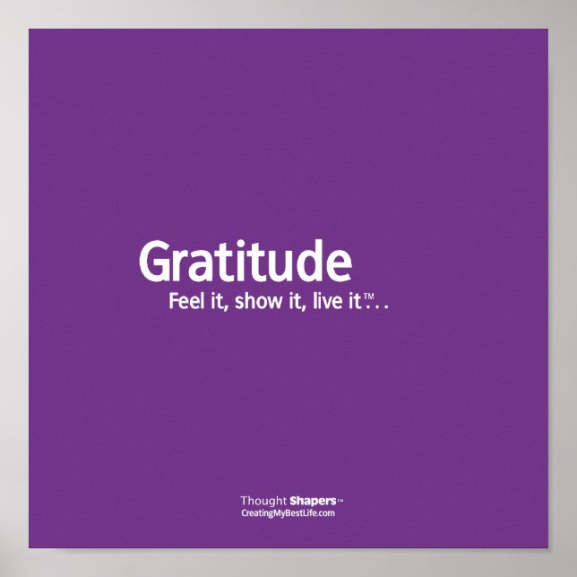 Gratitude Thought Shapers™ Poster (Front)
