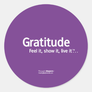 Gratitude Thought Shapers™ Stickers