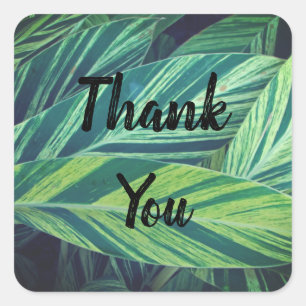 Gratitude Tropical Leaves Green Leaf Thank You Square Sticker