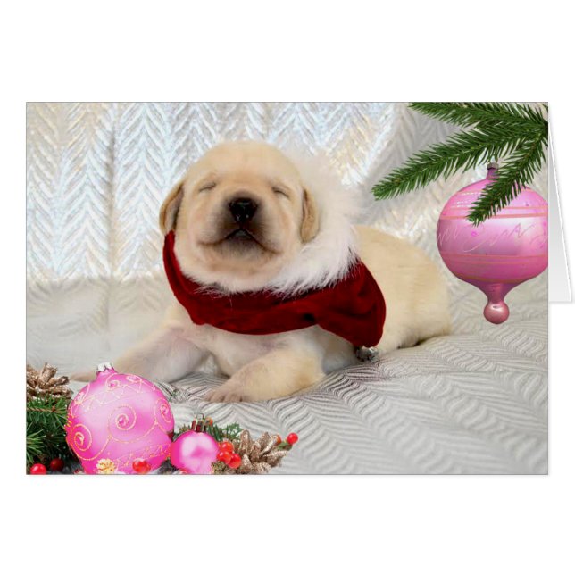 Gratitude week 2 Pink (Front Horizontal)