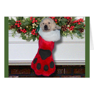 Gratitude week 3 Black