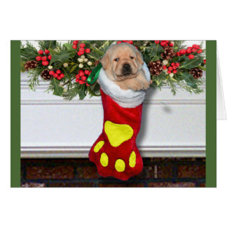 Gratitude week 3 Yellow