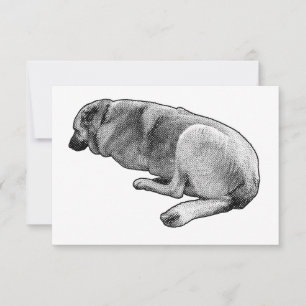 Gratitude Without Motion Thank You Card