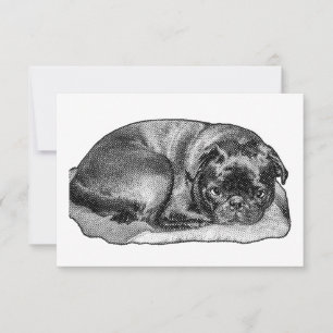 Gratitude Without Noise Thank You Card