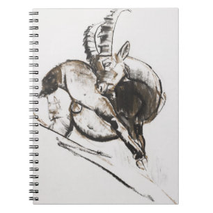 Grattarsi Notebook