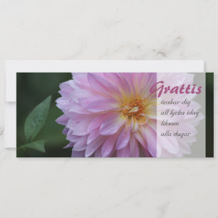 Grattis Önskar dig all lycka idag CC0767