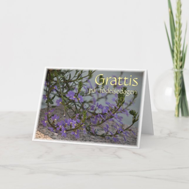 Grattis på födelsedagen CC0513 Greeting Card (Front)