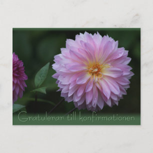 Gratulerar till konfirmationen CC0503 Postcard