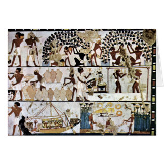 Grave Chamber Of Some Unknown (Tt261) Scenes