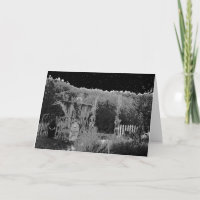 "GRAVEYARD BONES" ORIGINAL PHOTOGRAPHY & DESIGN