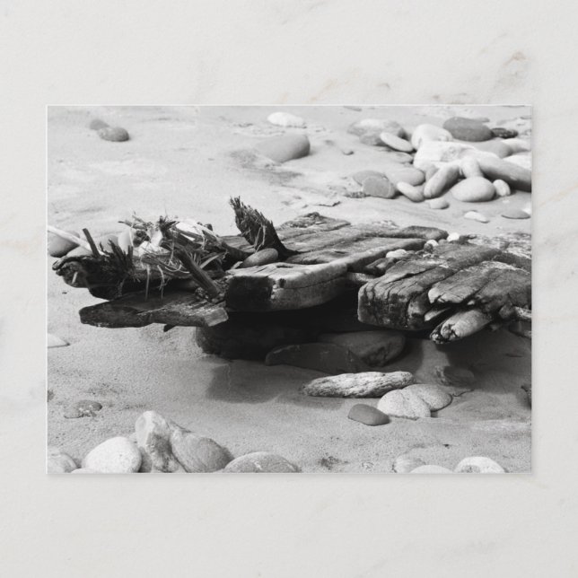Graveyard Coast Shipwreck Remains Postcard (Front)