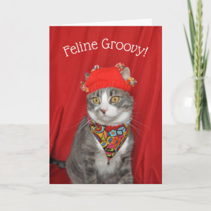 Gray and white cat Hippie Valentine's or Birthday Card