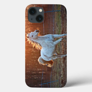 Gray Arabian Horse iPhone 13 Case