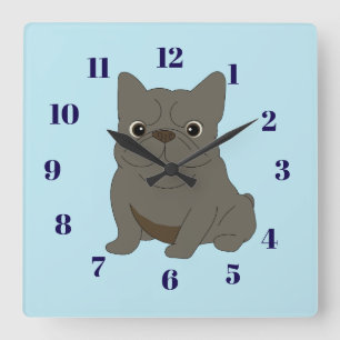 Gray Baby French Bulldog, blue, Watch Square Wall Clock