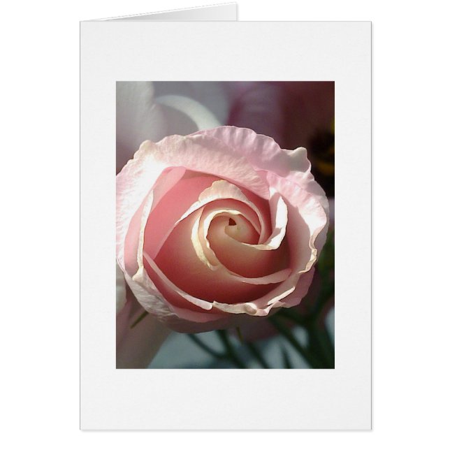 Gray card pink rose (Front)