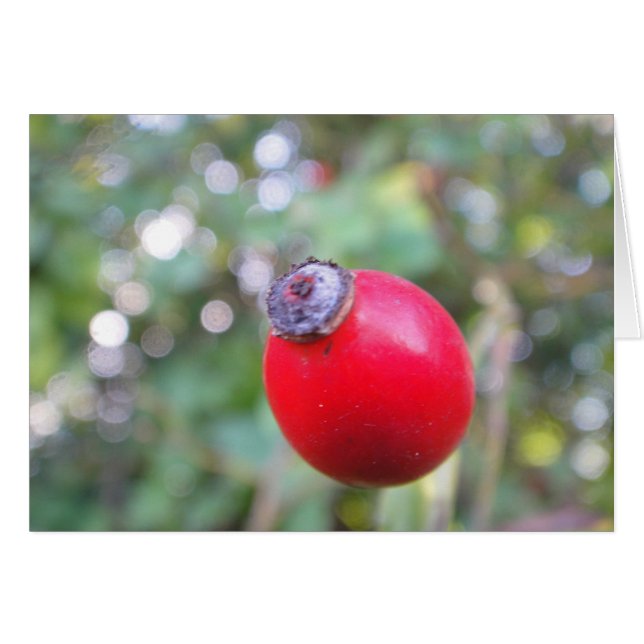 Gray card skirt, blank (Front Horizontal)