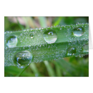 Gray card with water drop