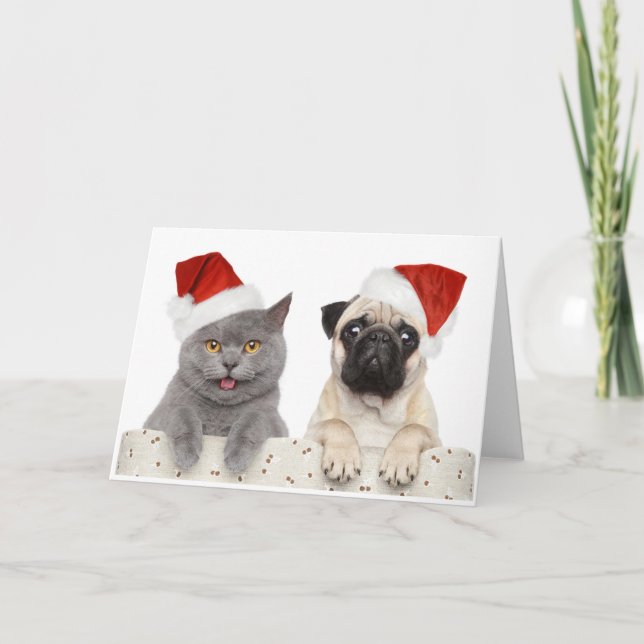 Gray cat and Chinese Pug Christmas Design Holiday Card (Front)