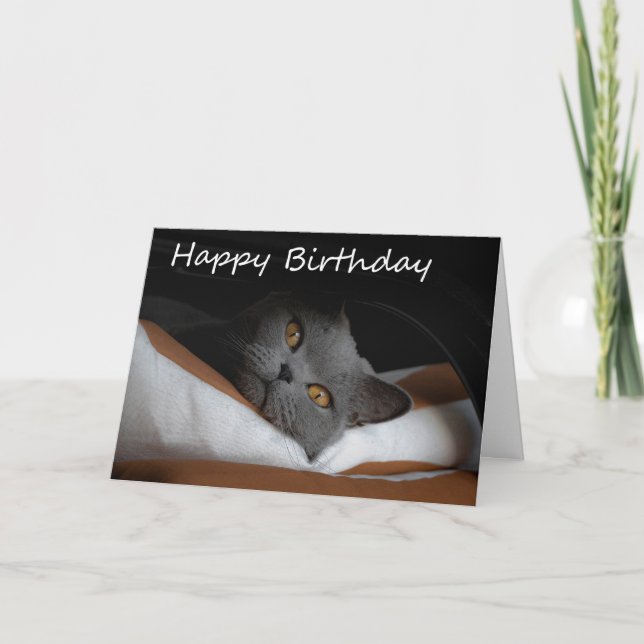 Gray Cat Happy Birthday Card (Front)