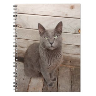 Gray Cat Notebook