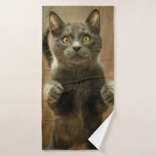 GRAY CAT STANDING IN TWO FEET BATH TOWEL