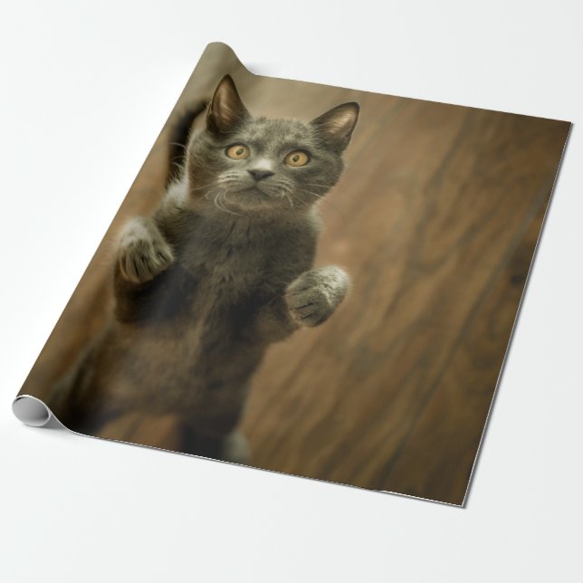 GRAY CAT STANDING IN TWO FEET WRAPPING PAPER (Unrolled)