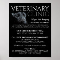 Gray Cat, Veterinarian, Veterinary Service Advert