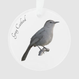 Gray Catbird Ornament