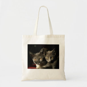 Gray Cats Photo Budget Tote Bag