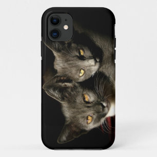 Gray Cats Photo iPhone SE + iPhone 5/5S Case