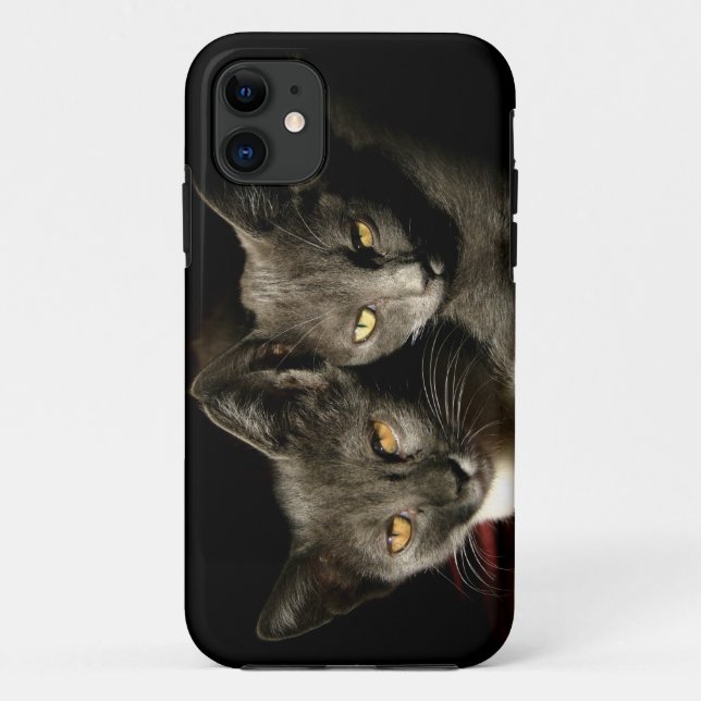 Gray Cats Photo iPhone SE + iPhone 5/5S Case (Back)