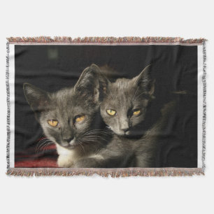 Gray Cats Photo Throw Blanket