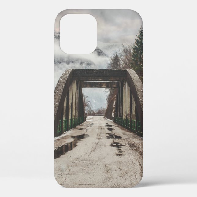 GRAY CONCRETE ARCH BRIDE BESIDE LEAFLESS TREE NEAR Case-Mate iPhone CASE (Back)