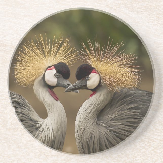 Gray Crowned Crane Coaster (Front)