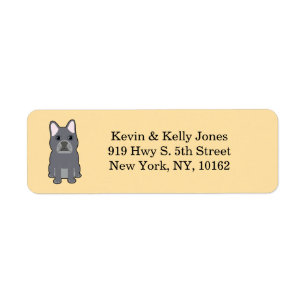 Gray French Bulldog, beige