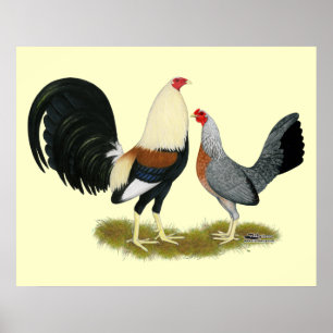 Gray Game Fowl Pair Poster