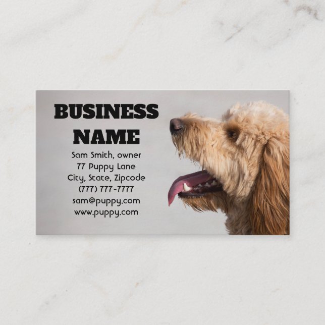 Gray Goldendoodle Dog Business Card (Front)