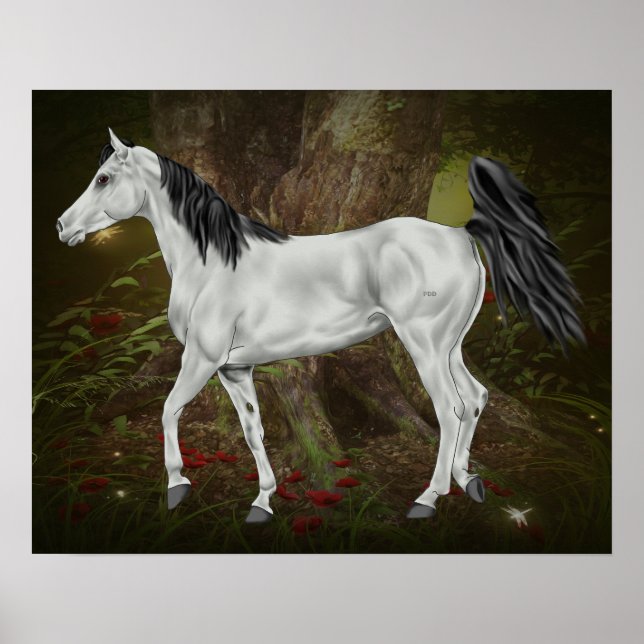 Gray Horse in Enchanted Forest  Poster (Front)