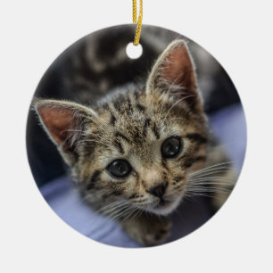 Gray Kitten Ceramic Tree Decoration