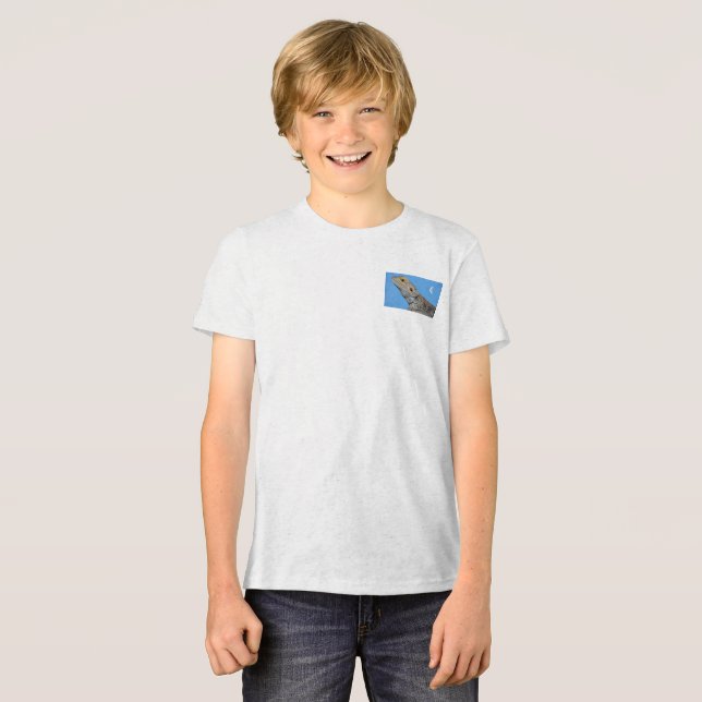 Gray Lizard and half moon Tri-Blend Shirt (Front Full)