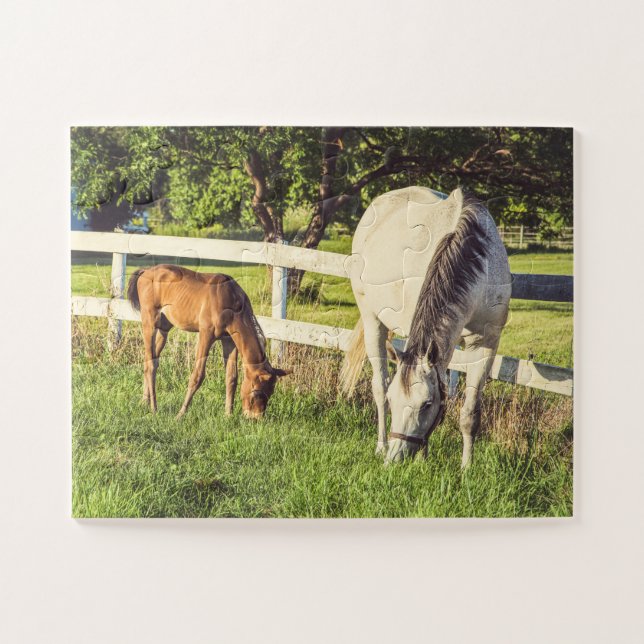 Gray Mare & Foal Horses Oversized Jigsaw Puzzle (Horizontal)
