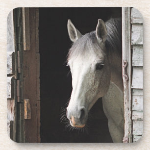 Gray Mare Horse Coaster