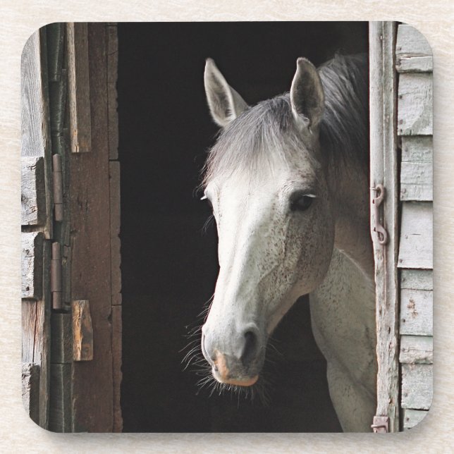 Gray Mare Horse Coaster (Front)