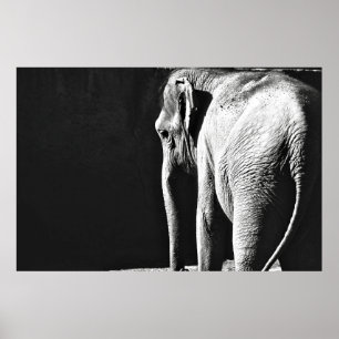 GRAY SCALE PHOTO OF ELEPHANT POSTER