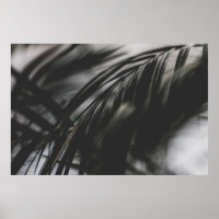 GRAY SCALE PHOTO OF PLANT LEAVES